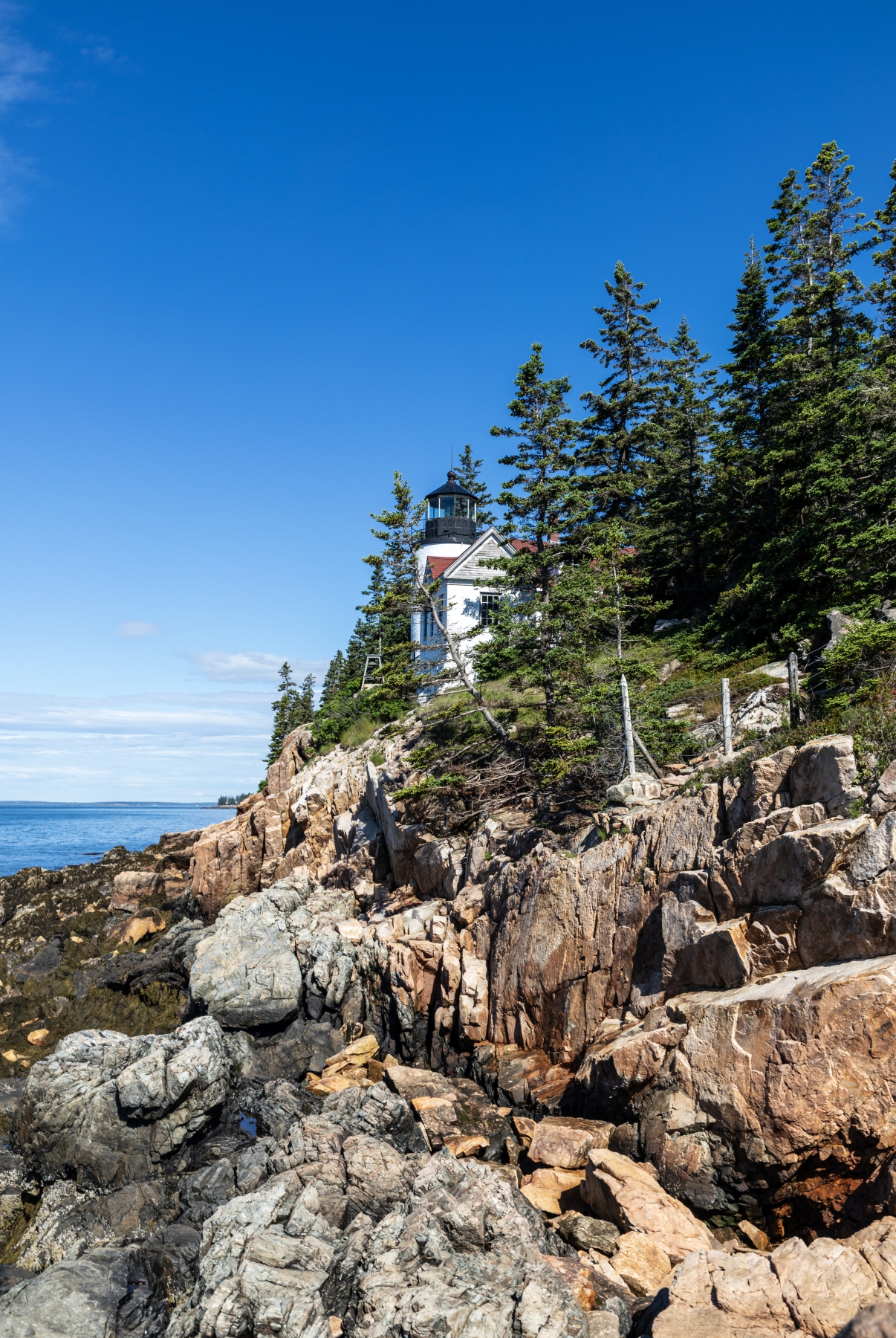 /gallery/north_america/USA/Maine/arcadia np/Bass Harbor Lighhouse 2024-003_med.jpg